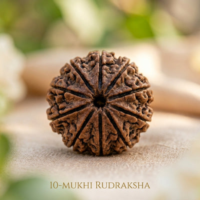 10 Mukhi