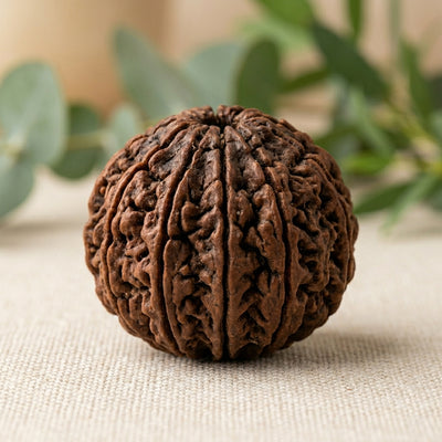 9 Mukhi